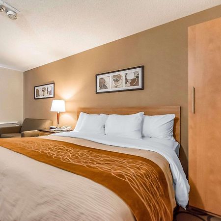 Comfort Inn Riviere-Du-Loup Ngoại thất bức ảnh